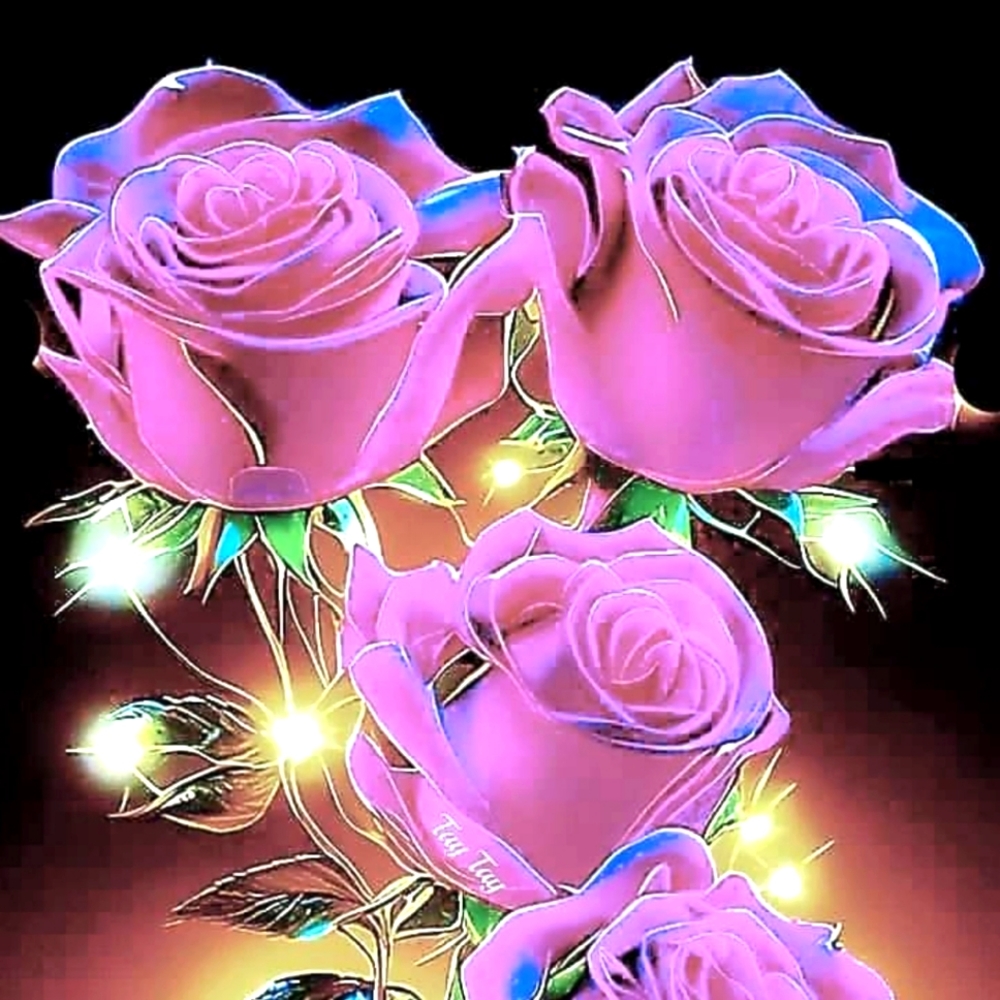 SALE !!SALE !!!SALE !!!